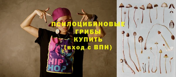 ГАЛЛЮЦИНОГЕННЫЕ ГРИБЫ Алзамай
