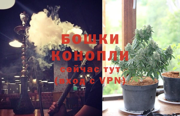 ГАЛЛЮЦИНОГЕННЫЕ ГРИБЫ Алзамай