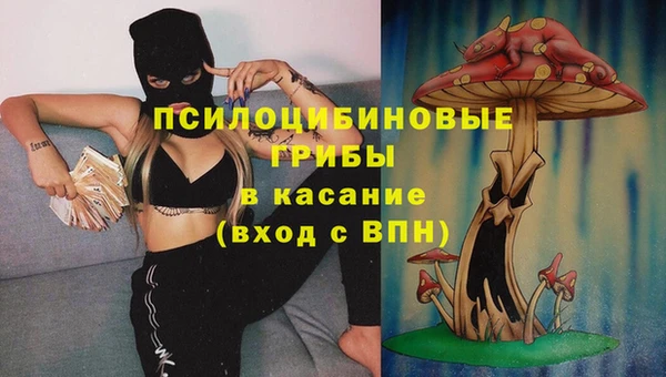 a pvp Алексеевка