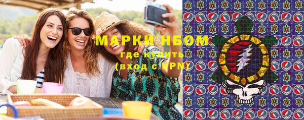 ГАЛЛЮЦИНОГЕННЫЕ ГРИБЫ Алзамай