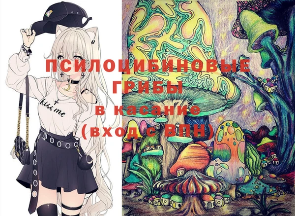 ГАЛЛЮЦИНОГЕННЫЕ ГРИБЫ Алексин