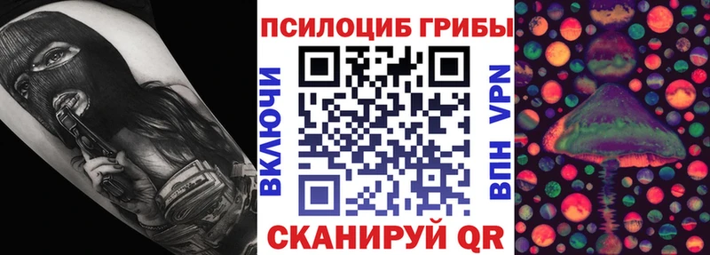 где можно купить наркотик  Константиновск  Псилоцибиновые грибы MAGIC MUSHROOMS 